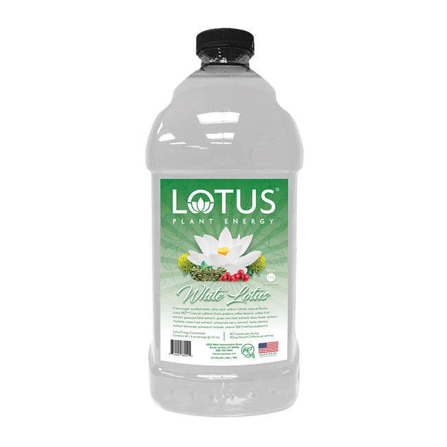 Lotus White Plant Energy Concentrate | Lakes Coffee, LLC | Wholesale